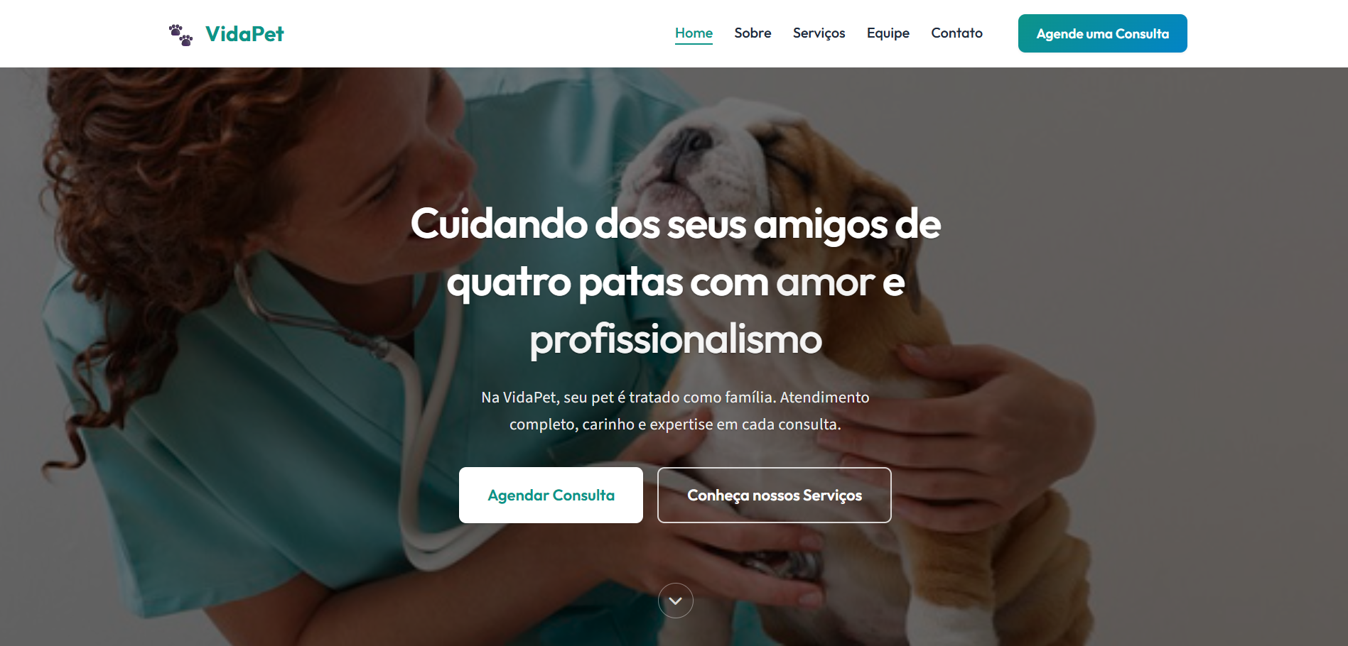 VidaPet Clínica Veterinária - preview do site